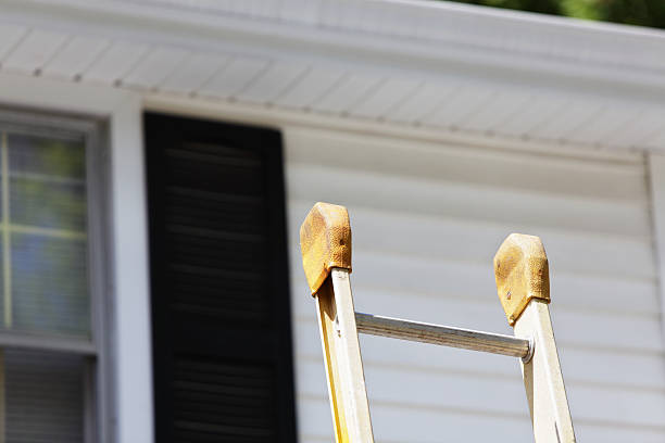 Best Siding Painting and Refinishing  in USA